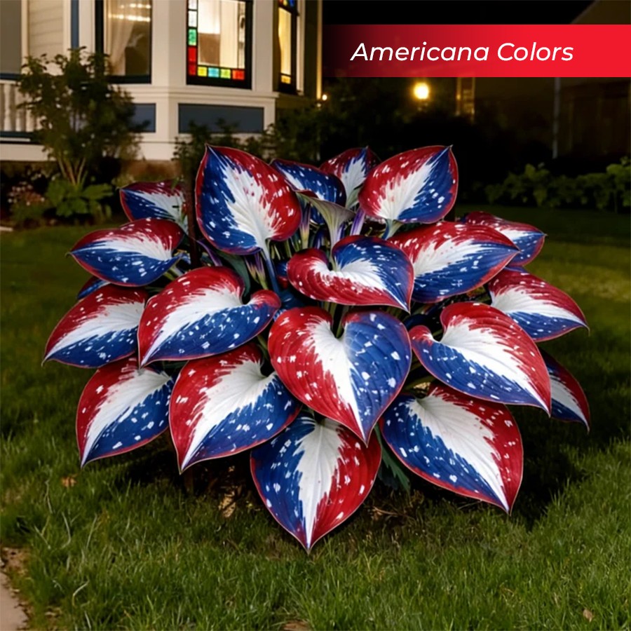 🎉Last Day Sale Off 40%🎉Celebrate America's 250th 🌱Premium Shade-Loving Hosta Seeds