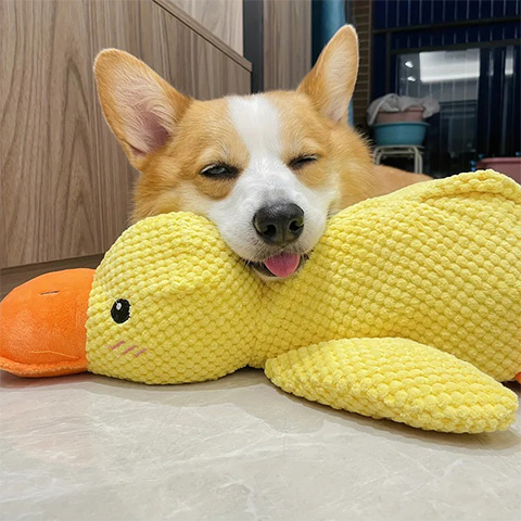 50% OFF 🔥 Calming Duck Toy 2025