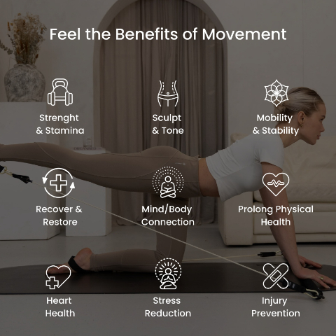 OYO Deluxe Kit - All-in-One Pilates Resistance Training Kit