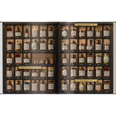 Forgotten Home Apethecary: 250 Powerful Remedies at Your Fingertips