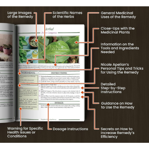 Forgotten Home Apethecary: 250 Powerful Remedies at Your Fingertips