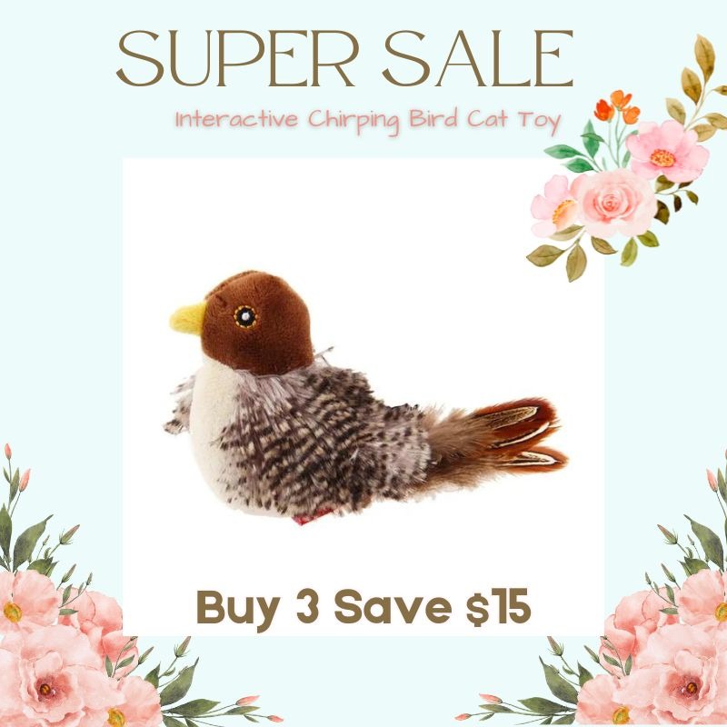 Interactive Chirping Bird Cat Toy 🐧