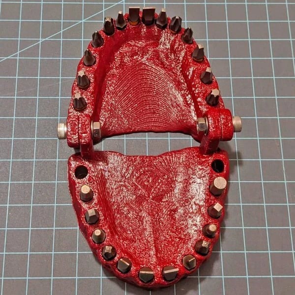 🔥Last Day Sale 49% OFF - 🧰 Denture Driver Bit Holder
