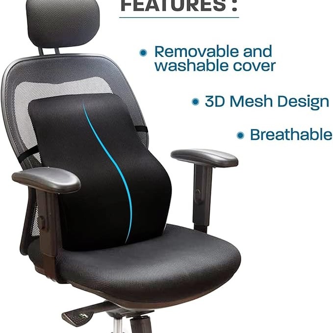Sleepsia Lumbar Support Memory Foam Orthopedic Back Cushion – Back Rest Cushion for Car, Chair and Office Chair (17.5'' L× 15.5'' W × 5.5'' H) Black
