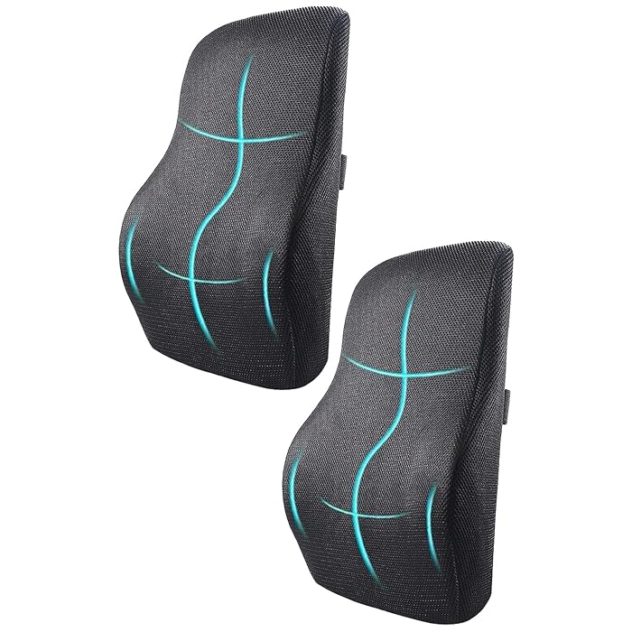 Sleepsia Lumbar Support Memory Foam Orthopedic Back Cushion – Back Rest Cushion for Car, Chair and Office Chair (17.5'' L× 15.5'' W × 5.5'' H) Black