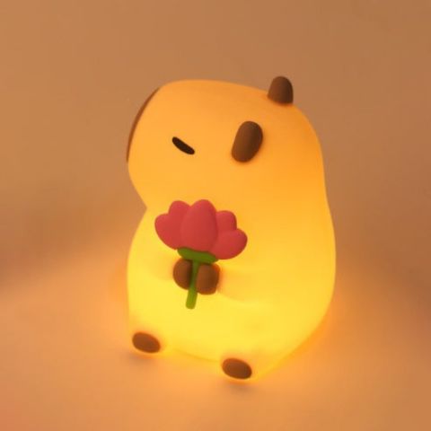 MeWaii Capybara Squishy Night Light - Perfect Gift 🎁