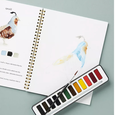 🖼️Beginner-Friendly💕 Watercolor Workbook