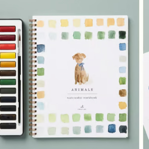 🖼️Beginner-Friendly💕 Watercolor Workbook