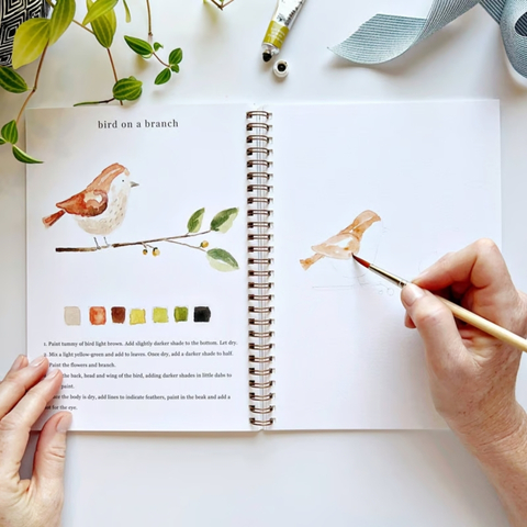 🖼️Beginner-Friendly💕 Watercolor Workbook