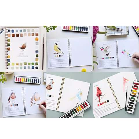 🖼️Beginner-Friendly💕 Watercolor Workbook
