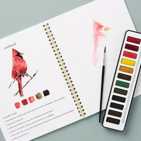 🖼️Beginner-Friendly💕 Watercolor Workbook