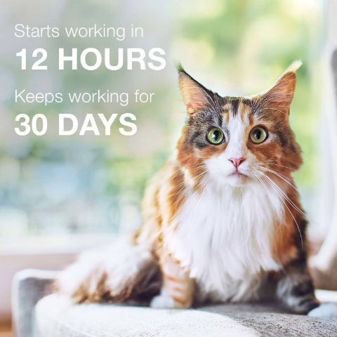 Advantage II Flea Treatment For Cats, 5 To 9 Lbs