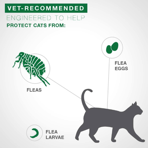 Advantage II Flea Treatment For Cats, 5 To 9 Lbs