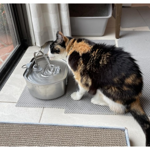 ️🎉Health And Happiness Cat Kit️🎉