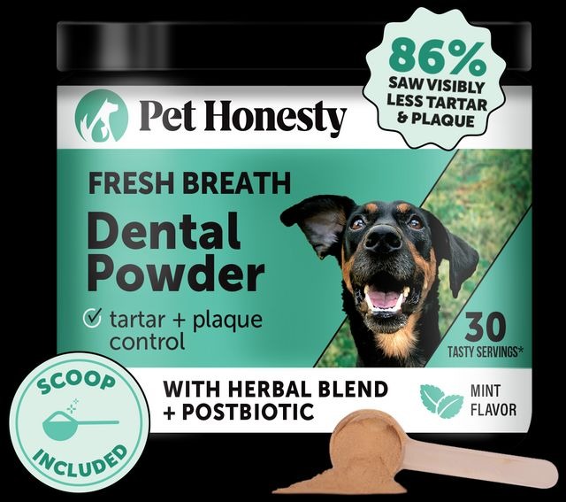 🔥Hot Sale-45 OFF🔥Dental Powder (30 scoops)