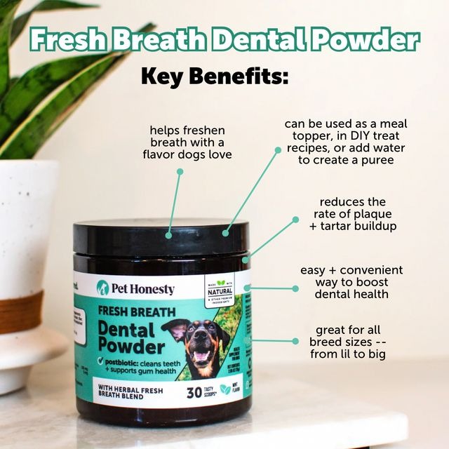🔥Hot Sale-45 OFF🔥Dental Powder (30 scoops)