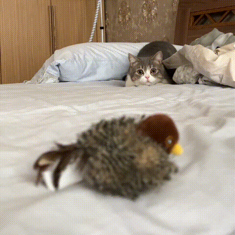 Interactive Chirping Bird Cat Toy 🐧