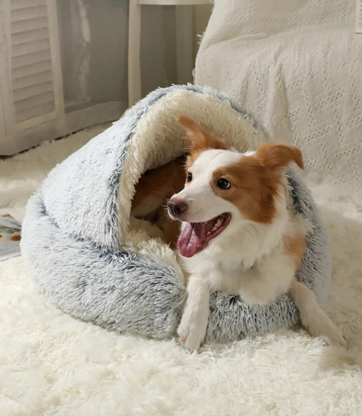 Burrowing Pet Bed