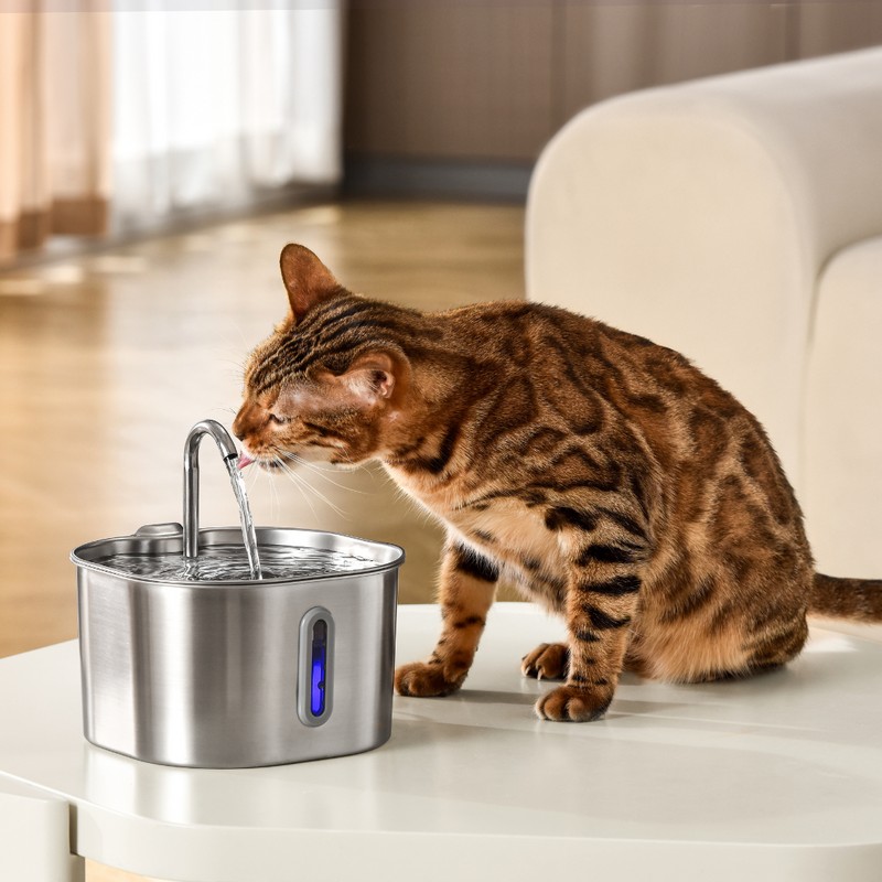 ️🎉Health And Happiness Cat Kit️🎉