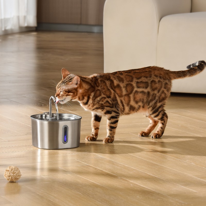 ️🎉Health And Happiness Cat Kit️🎉