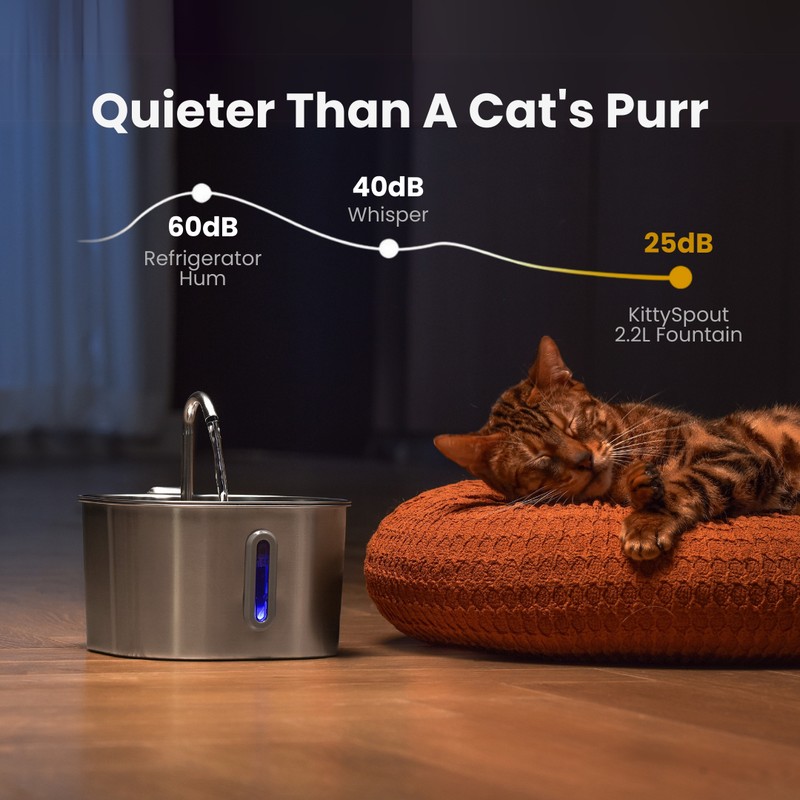 ️🎉Health And Happiness Cat Kit️🎉