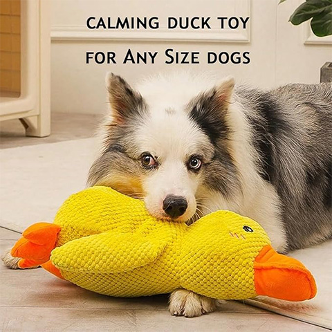 50% OFF 🔥 Calming Duck Toy 2025